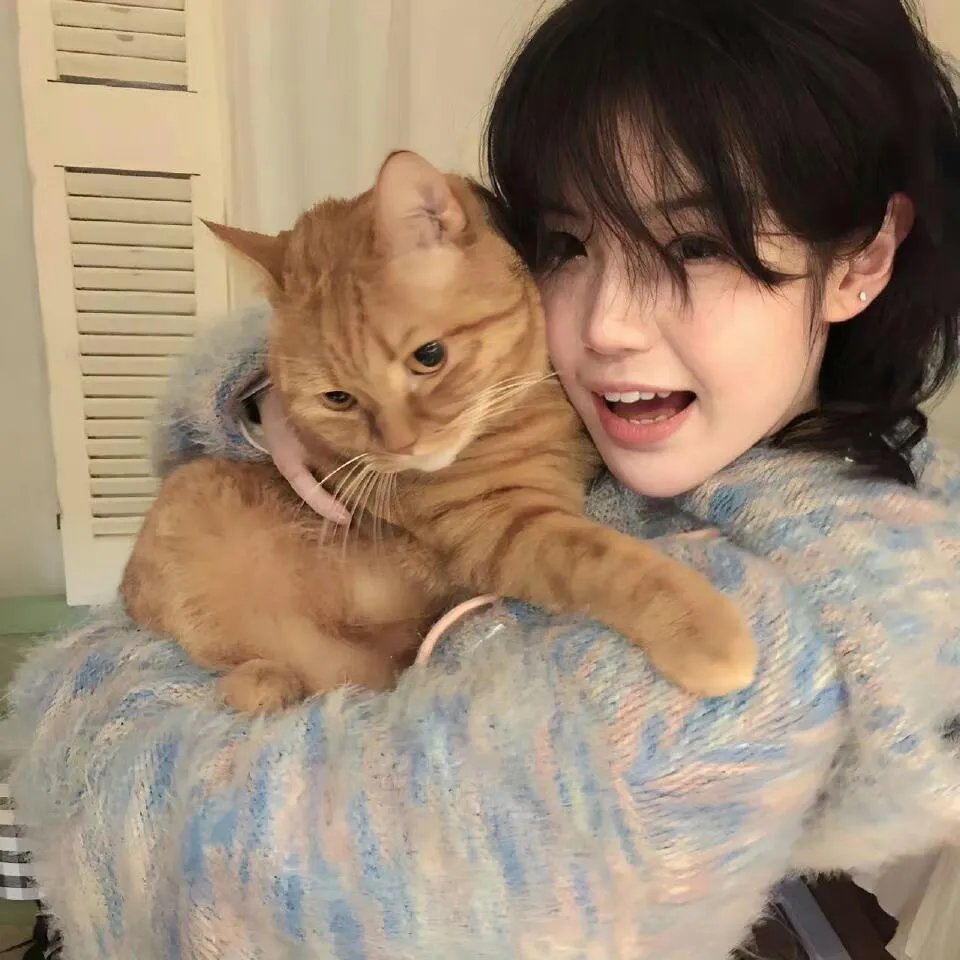 剧场版进击的巨人前编红莲的弓矢